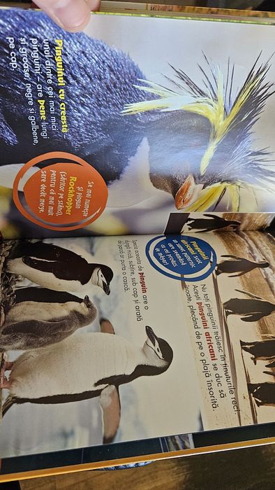 Vand Colectia Disney - Prieteni cu animalele 1-100