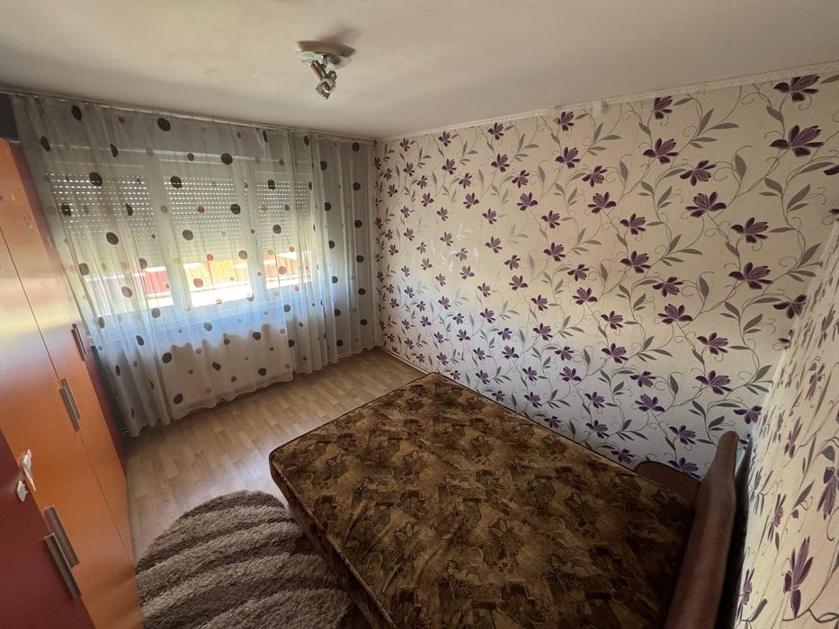 Dau in chirie apartament ,se acceptă animal de companie talie medie/mică