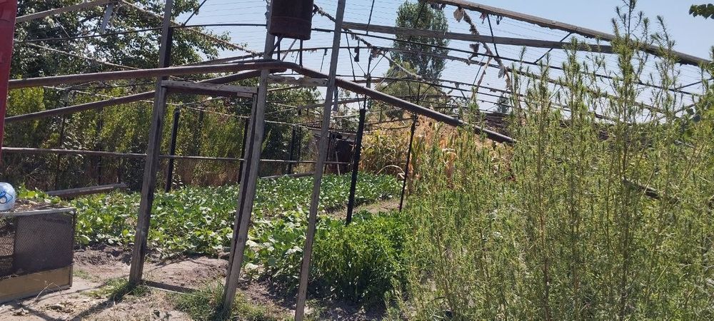 Теплица каркас 2,4 соток, teplitsa,issiqxona