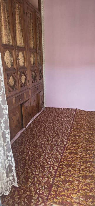 Студент кизларни ижорага куйамис