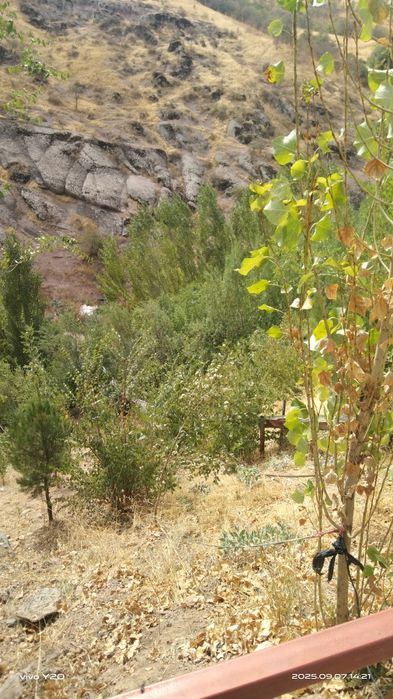 Продам зону отдыха , 5 га, Бостанлыкский район, Каранкуль.