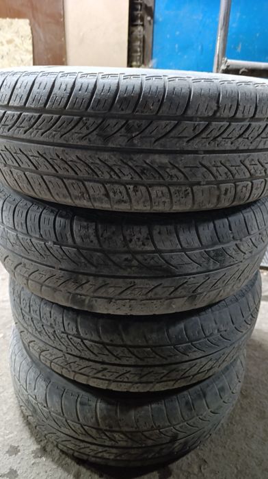 Продам резину Tigar