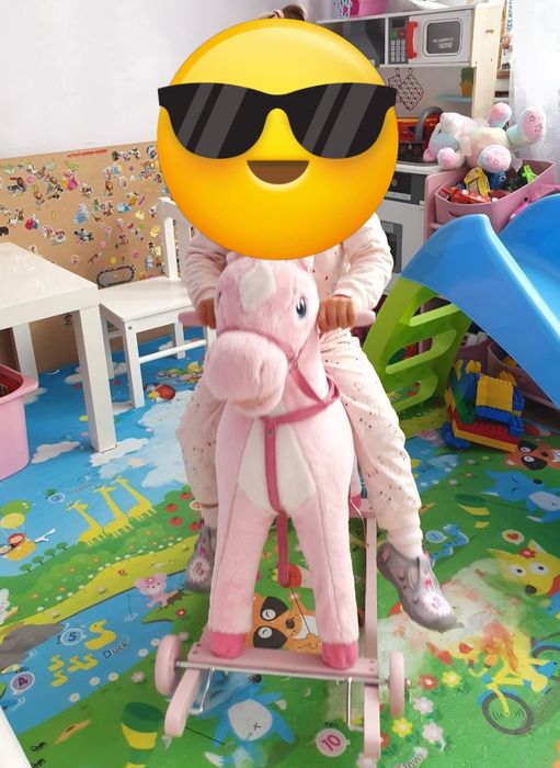 Люлеещо се конче