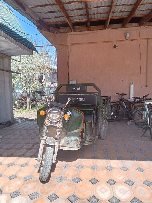 Трицикл муравей.