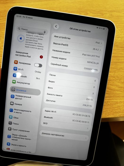 IPad mini A17 Pro Wi-fi 256 gb 99%