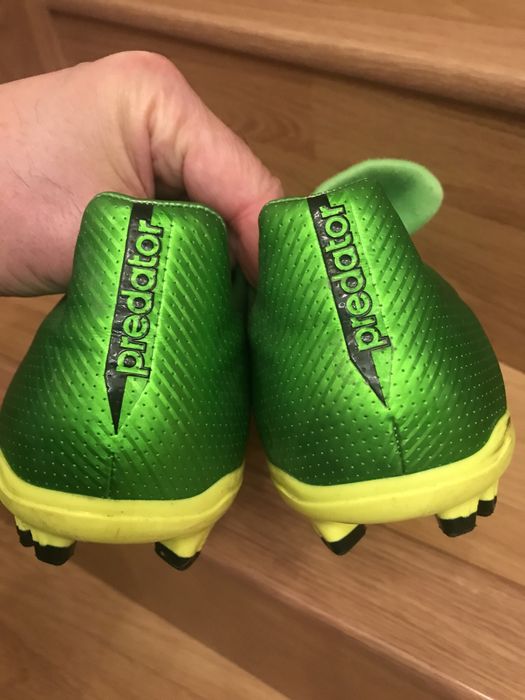 adidas  predator absolionFG