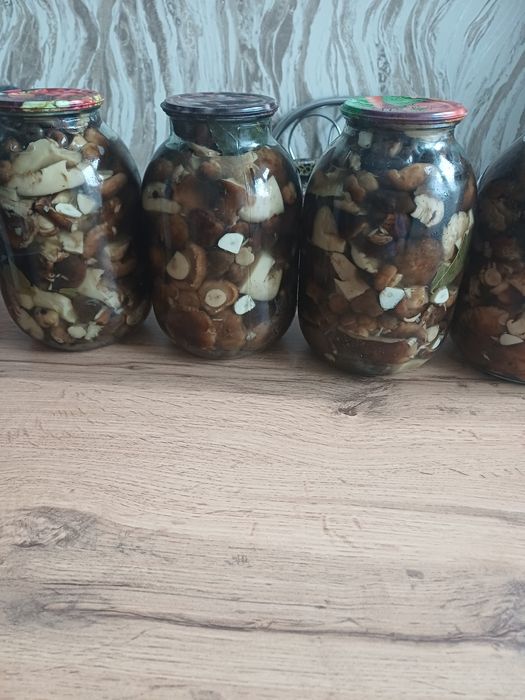 Продам соленья 2025 года