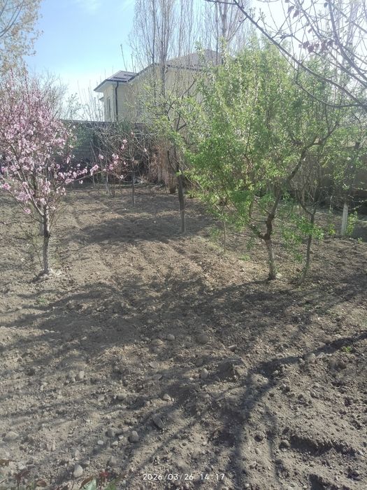 Fargona shaxar Beshbolada 3  so tix er sotiladi