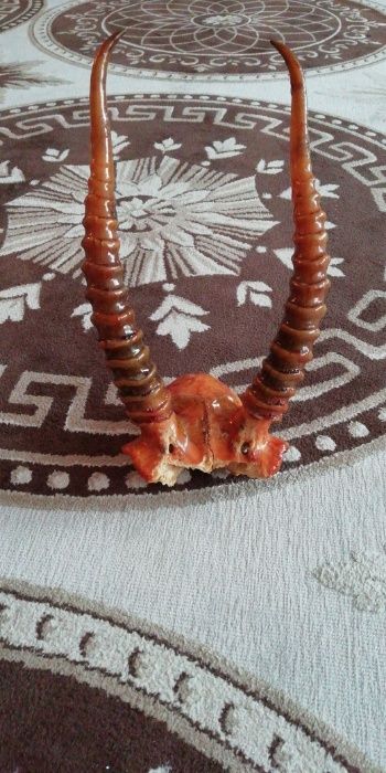 Сувенир. Еще с советских времен