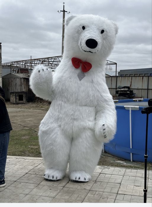 Белая мишка, Тедди мишка