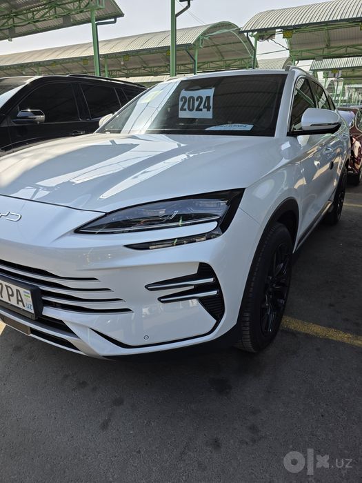 Byd champion gibrid 2024-25