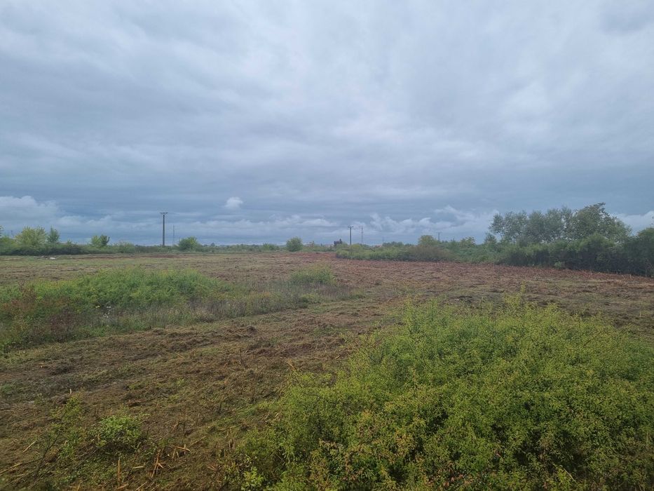 Curatare,defrisare teren, ploaia ajuta si la pret si la defrisare!