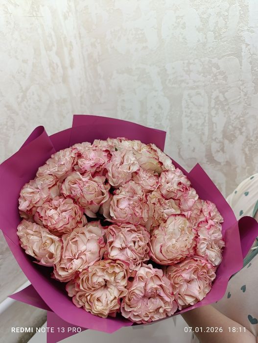 51 Гүл Свежий Адемі