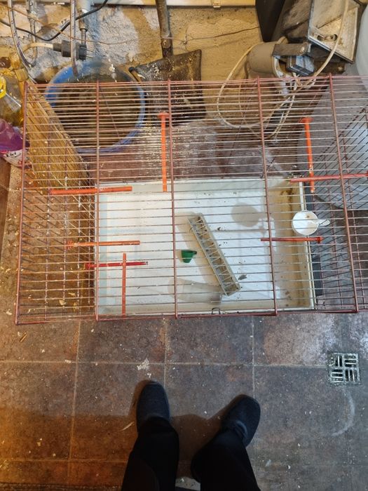 Клетка , кафез доста голям