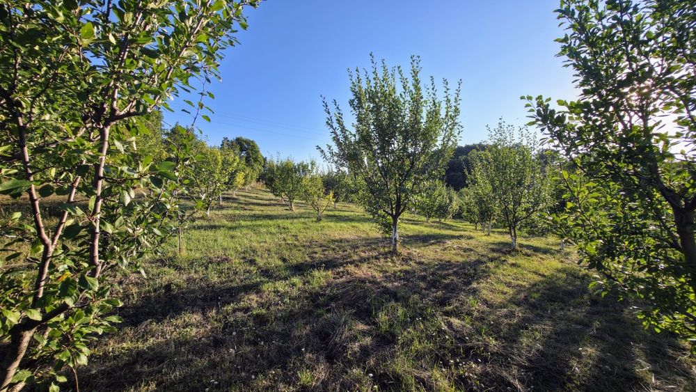 Продават се 7 парцела в кв. Църква, гр. Перник