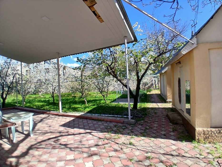 Dala hovli sotiladi kumushkonda 6 sotix