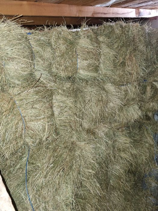Продава малки бали сено