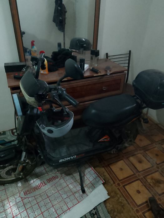 Sukutr Sotiladi Arzon Narxda