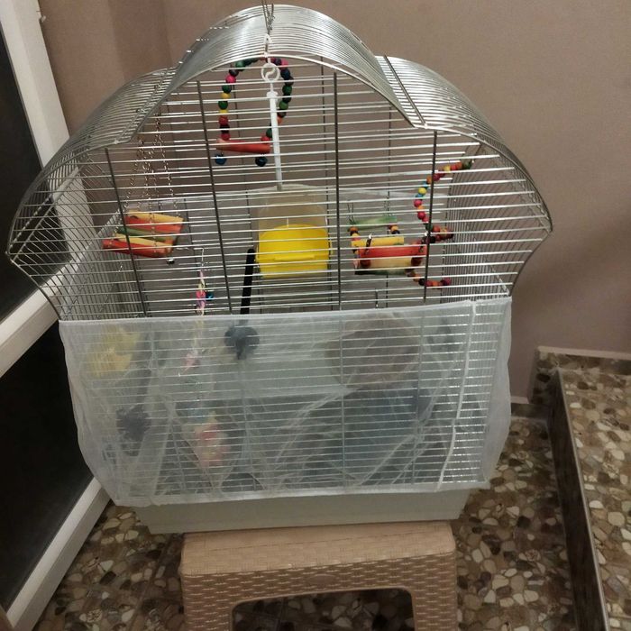 Оборудвана клетка за птици