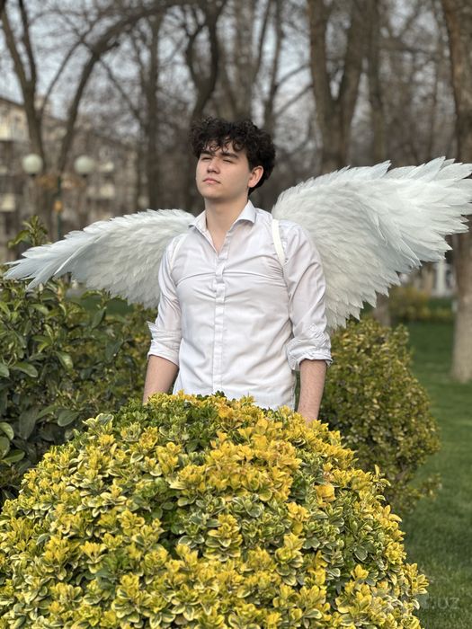Крылья ангела на прокат делаем на заказ и сдаём в аренду.