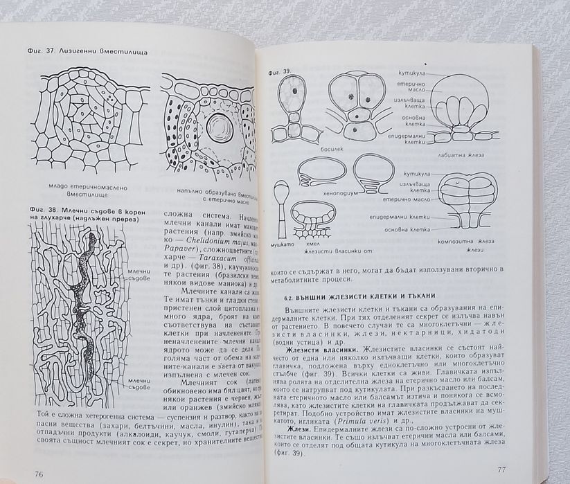 Ботаника  Учебник по ботаника 
Иван Асенов, Йосиф Бенбасат
Иван Асенов