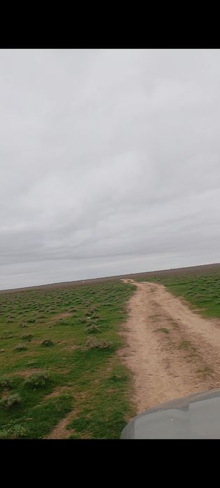 қора сатылады 280млн