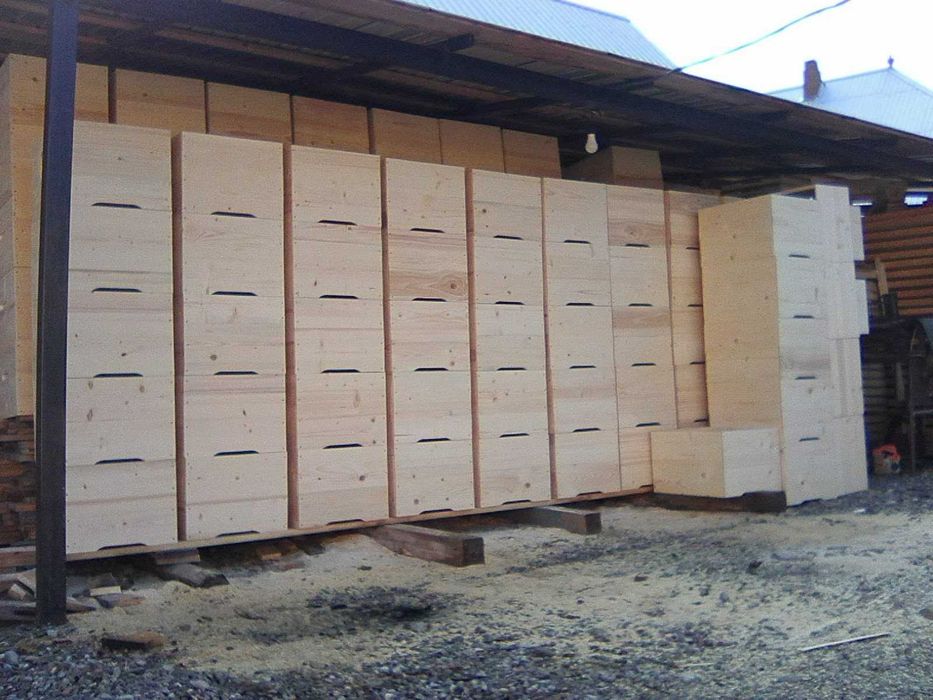 Stupi pe 12 rame 200 lei