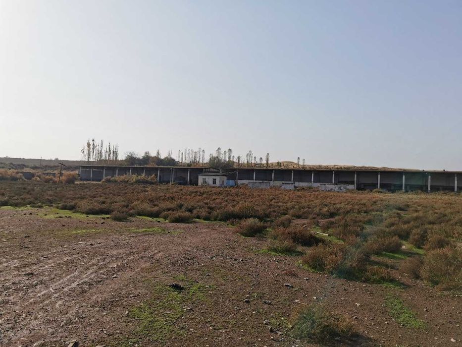 Нотурар бино 2 гектар ери билан  ижарага берилади Тошкент вил