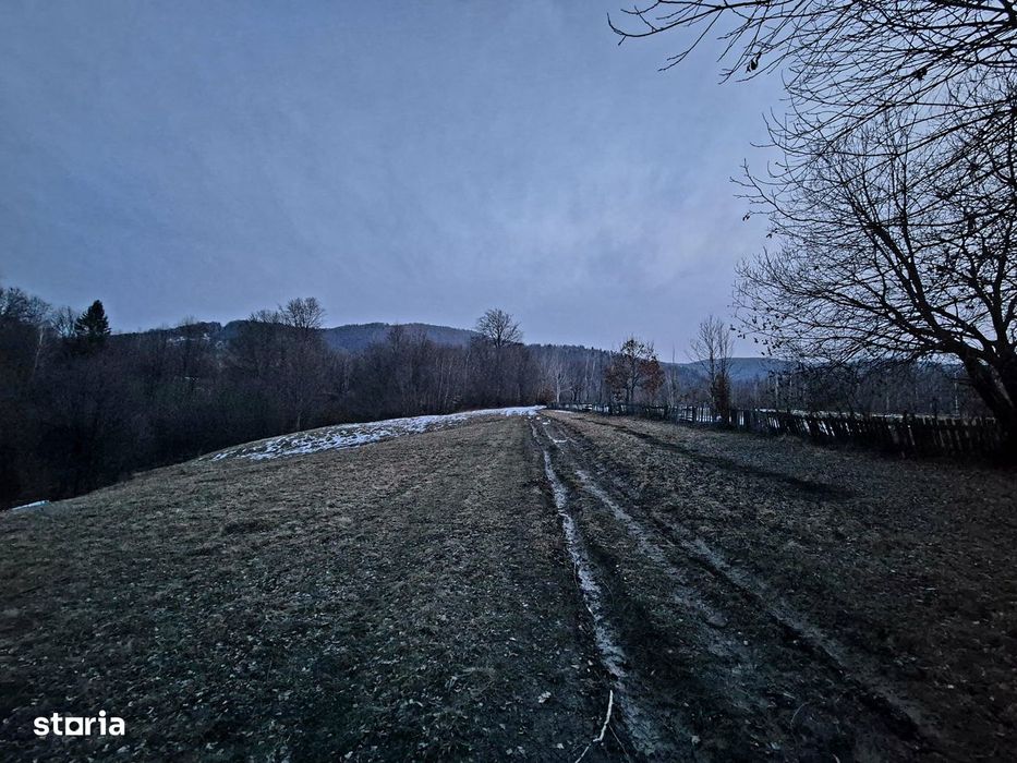 Teren 5000 mp extravilan Sinca Noua
