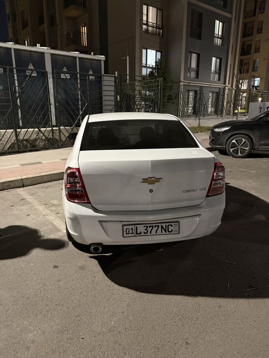 Cobalt 2024 sentabr haloti yangi