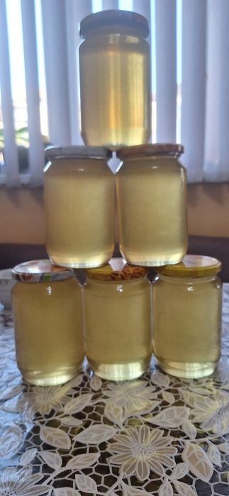 Пчелен мед от акация