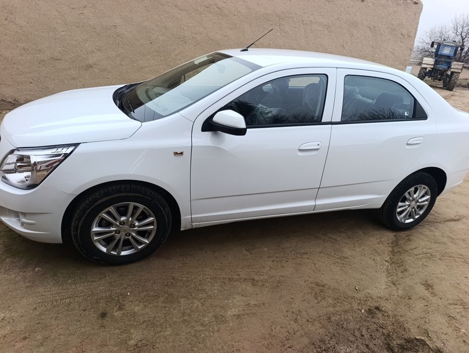 Salofon turibdi nomir qoʻyish kerak