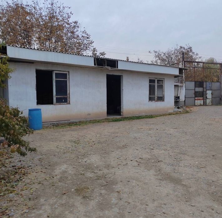 Готовый агробизнес: тепличная ферма в Назарбеке