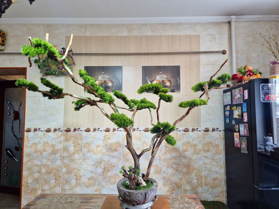 Бонсай ручная работа