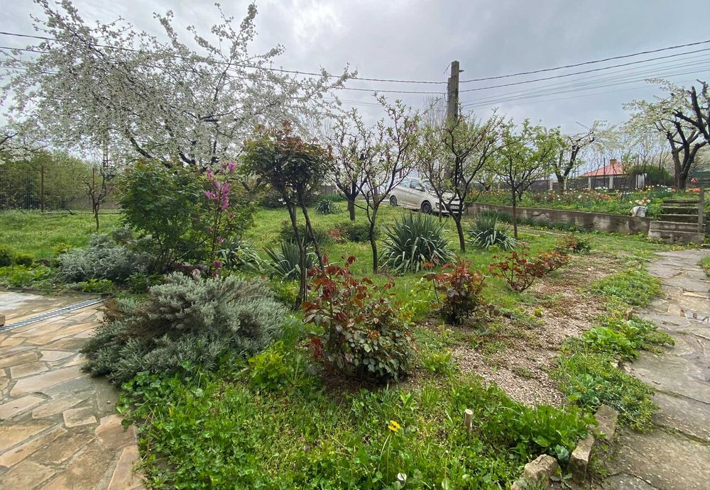 Vand casă spațioasă cu teren generos Sat Mineri, Somova, jud. Tulcea