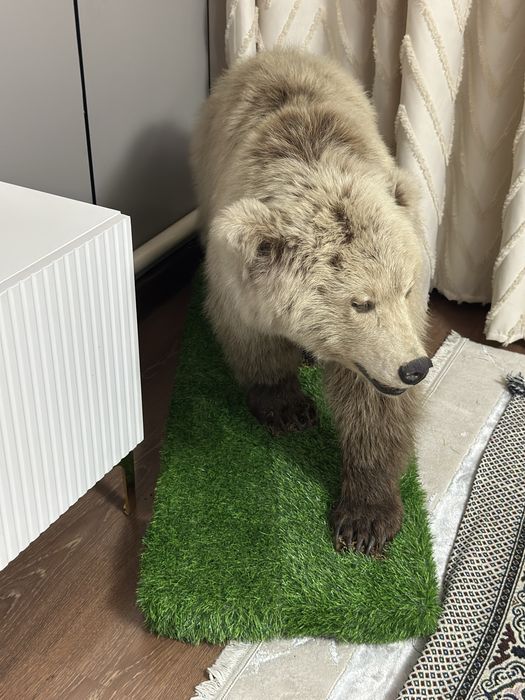 Срочно продам антиквариат Медведь