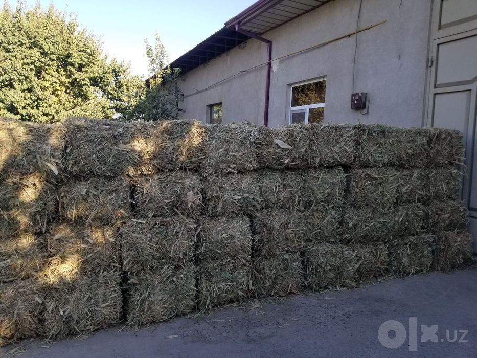 Maka Pres Sifatli va Arzon narxda Sotiladi