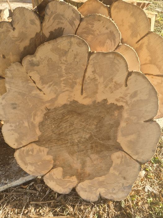 rondele(felii),blaturi stejar