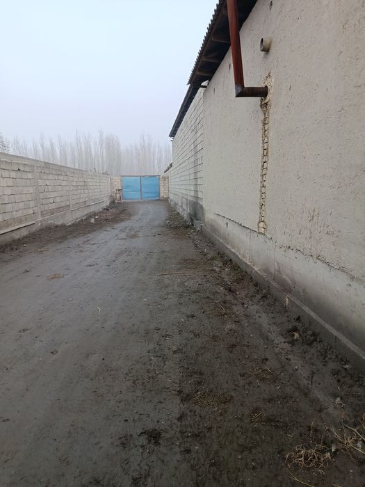 Ferma mol qoʻy boqishga