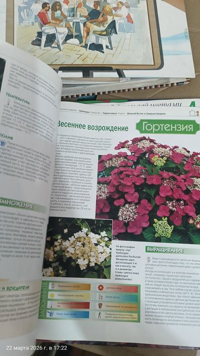 Отдам энциклопедии Растения и Рисование