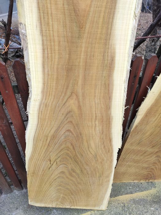 Cherestea de dud uscata