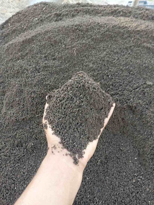 Biogumus, Pavloniya, kuchatlari,Avatar uzum kuchatlari sotuvda.