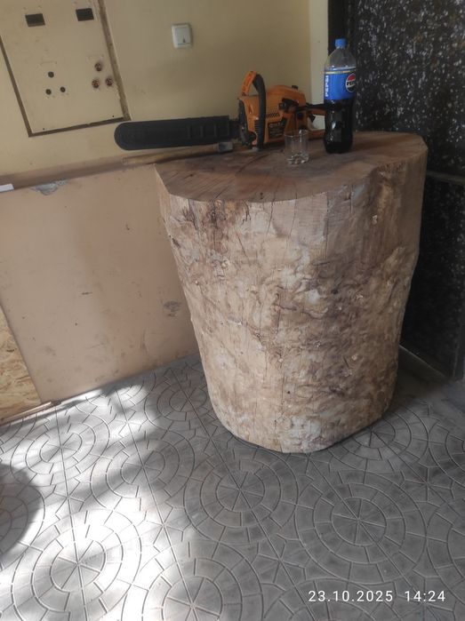 Кунда чинор ва тут қассоблар учун