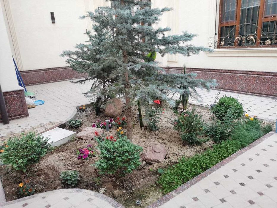 сдается люксовый дом на никитина