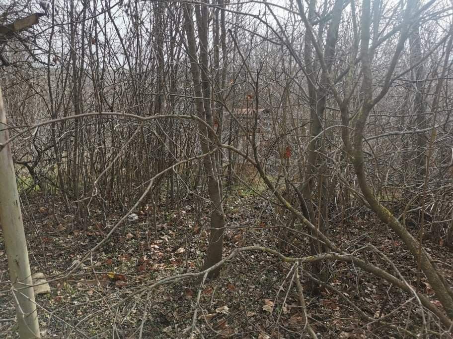 Продава се Къща в с. Павел, Област Велико Търново - 100 кв.м за 95 €/кв.м - Снимка #7