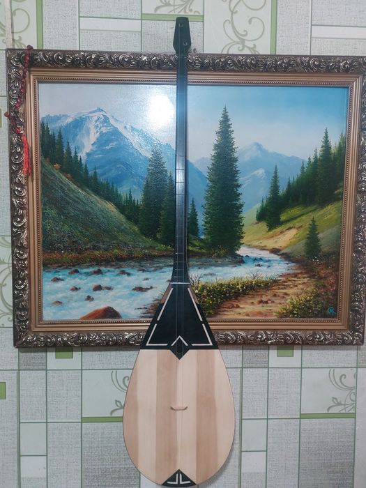 Профессиональная домбыра