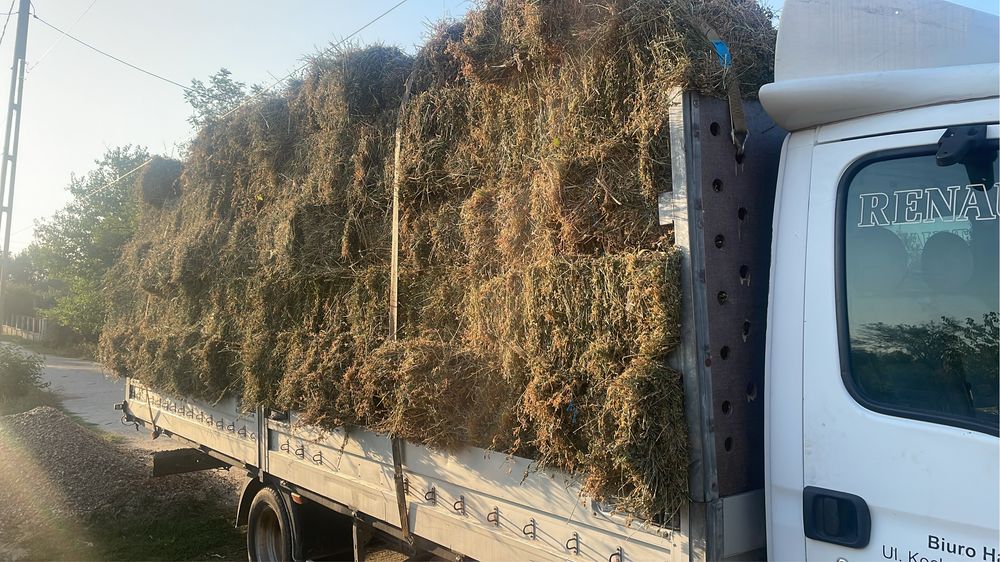 Baloti lucerna ofer transport