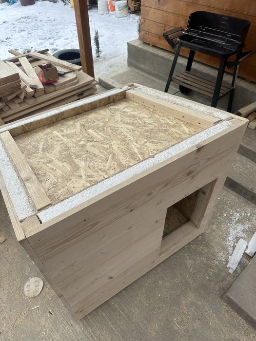 Cuşcă Câine Izolată Talie Mare lemn masiv