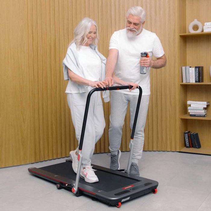 Беговая дорожка
Yamaguchi Runway PRO-X
Компактная модель с поручнем