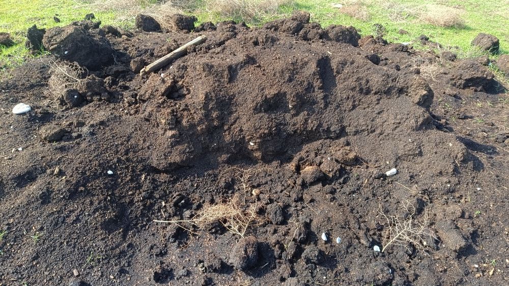 Биогумус,перегной для сада и огорода